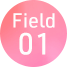 Field01